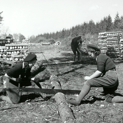 Womens Timber Corps